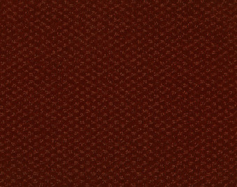 [400111233_7] Carve Classic - 310-Roest